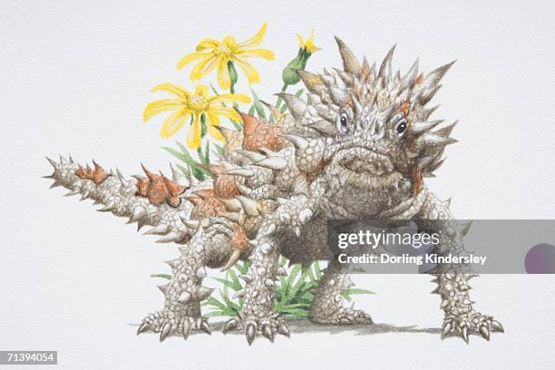 ilustrações de stock, clip art, desenhos animados e ícones de thorny devil, moloch horridus, a spiky lizard. - diabo espinhoso