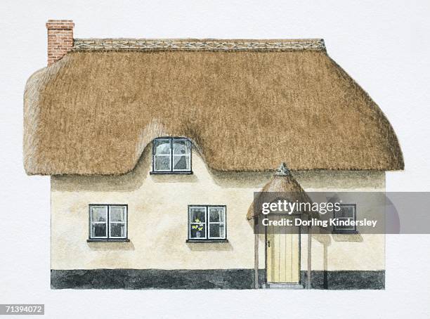 stockillustraties, clipart, cartoons en iconen met cob cottage with overhanging thatch roof, front view. - thatched roof