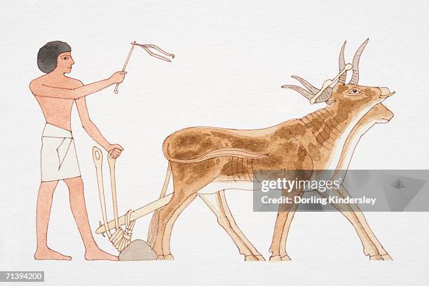 man in loincloth ploughing with harnessed oxen, side view. - ancient plow stock illustrations