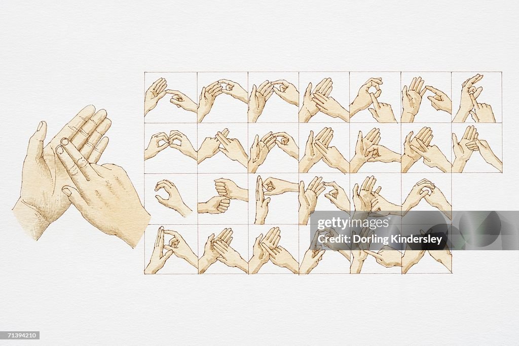 How Sign Language Works Sign Language Hand Positions For All Letters Of The Alphabet Front View ...