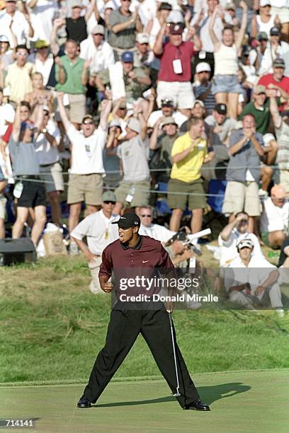 Tiger Woods reacts to the putts on the 18th hole to go to playoffs during the PGA Championship, part of the PGA Tour at the Valhalla Golf Club in...
