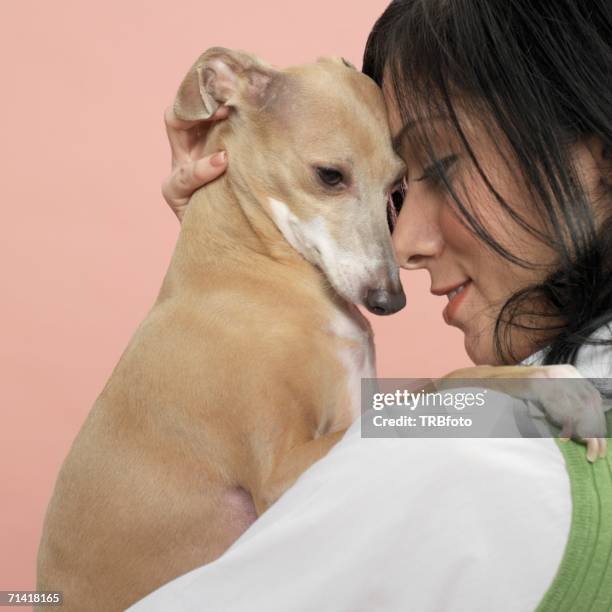 studio shot of young woman and dog - dog studio shot stock pictures, royalty-free photos & images