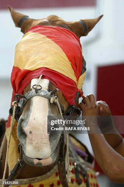 Man uses a Spanish flag to cover the picador horse's eyes to avoid being frightened by the bull, prior to the sixth corrida of the San Fermin...