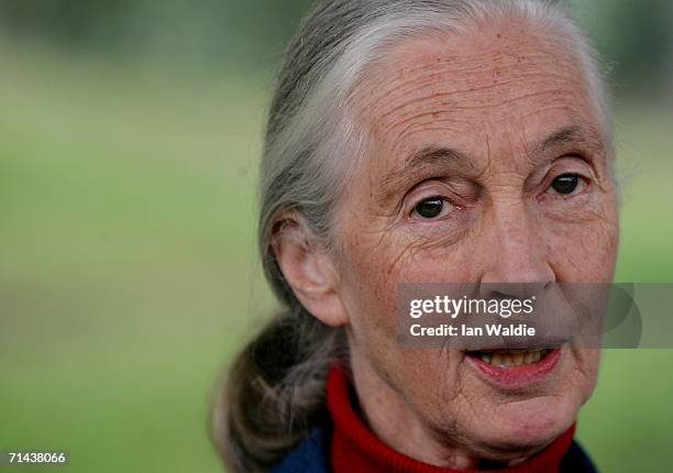 Primatologist Dr. Jane Goodall holds a press conference at Taronga Zoo July 14, 2006 in Sydney, Australia. Dr. Goodall visited the zoo to raise...