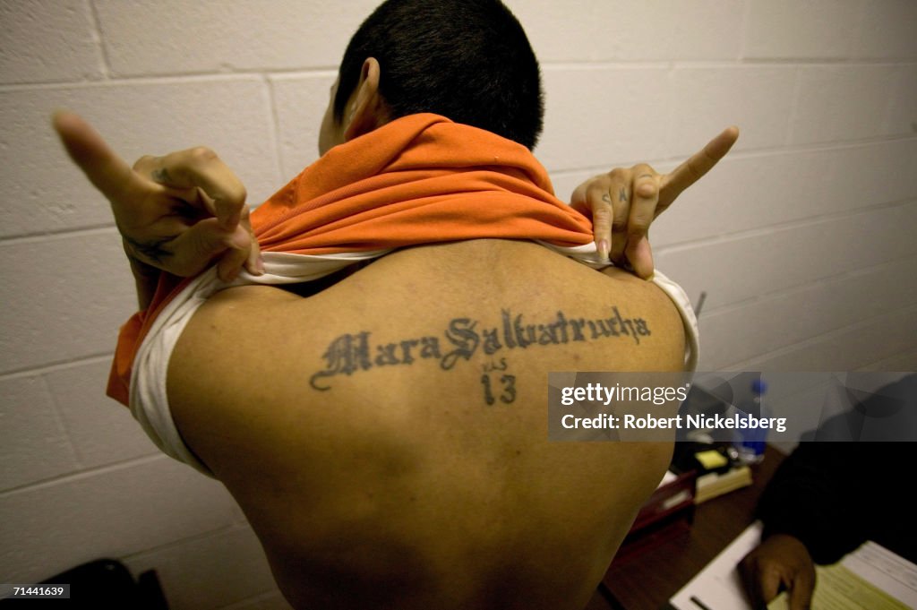 Cholo, shows off his gang tattoos and MS13 hand signs on January 23