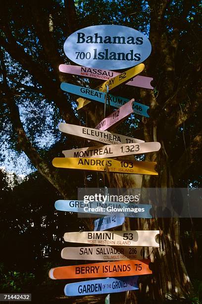 colorful signboards at international bazaar, freeport, grand bahamas, bahamas - grand bahama stock pictures, royalty-free photos & images