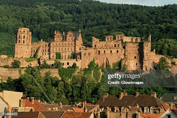 castle on a hill, heidelberg, germany - heidelberg germany stock pictures, royalty-free photos & images