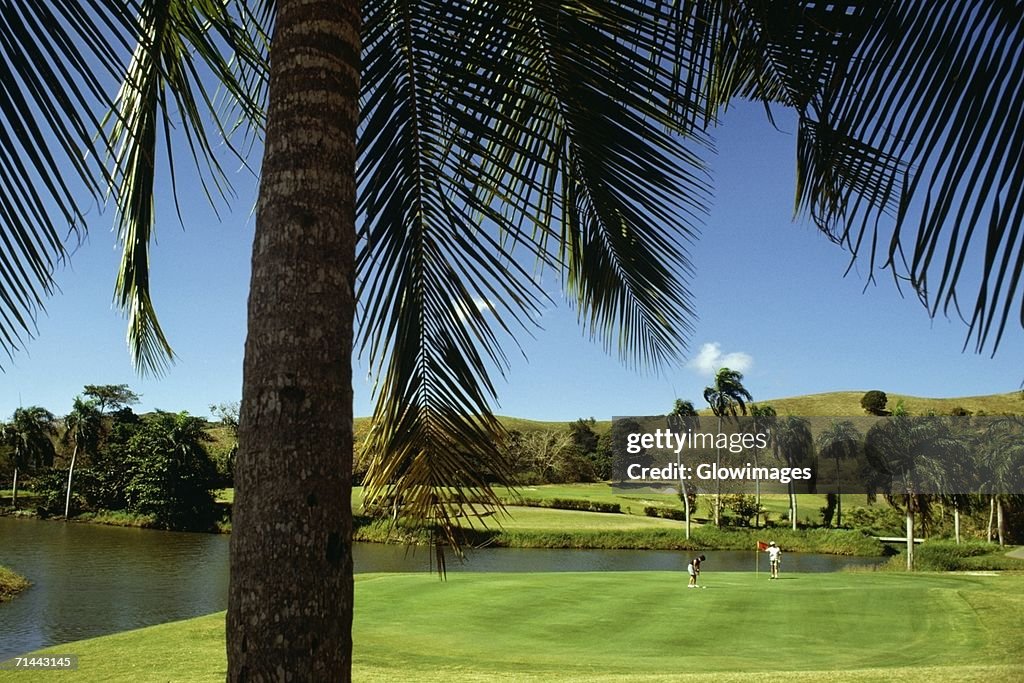 Two golfers playing golf at Fountain Valley Golf Course, St. Croix, U.S. Virgin Islands