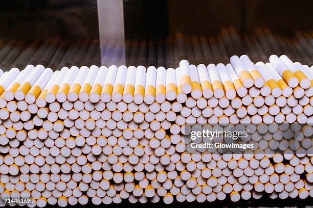 close-up of cigarettes on an assembly line at a factory, phillip morris factory, richmond, virginia, usa - cigarette stock pictures, royalty-free photos & images