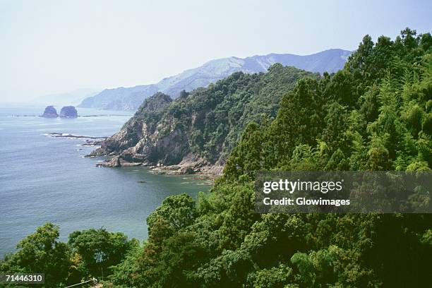 high angle view of a coastline, kochi, shikoku, japan - préfecture de kochi photos et images de collection