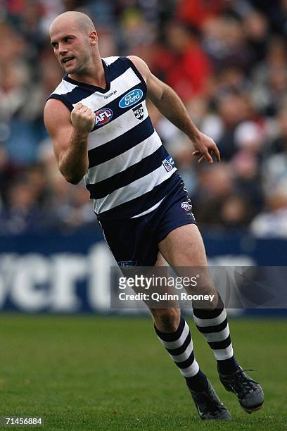 Paul Chapman for the Cats celebrates a goal during the round 15 AFL match between the Geelong Cats and the Port Adelaide Power at Skilled Stadium...