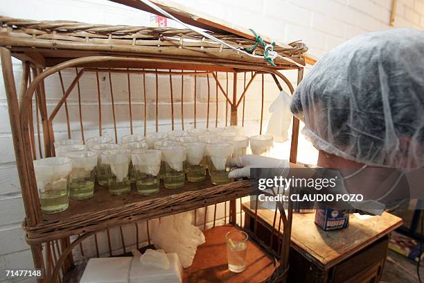 Felipe Saavedra muestra el laboratorio artesanal, en Santiago el 18 de julio de 2006, para la fabricacion de "quesitos magicos", un producto...