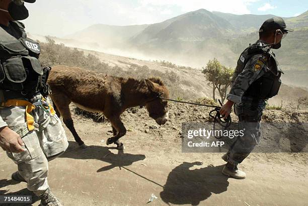 Miembros del grupo de intervencion y rescate GIR de la policia nacional rescatan animales en el poblado de Cusua el 19 de julio de 2006. La actividad...