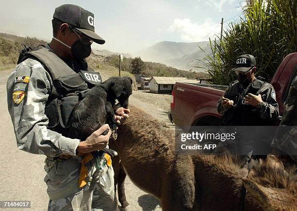 Miembros del grupo de intervencion y rescate GIR de la policia nacional rescatan animales en el poblado de Cusua el 19 de julio de 2006. La actividad...