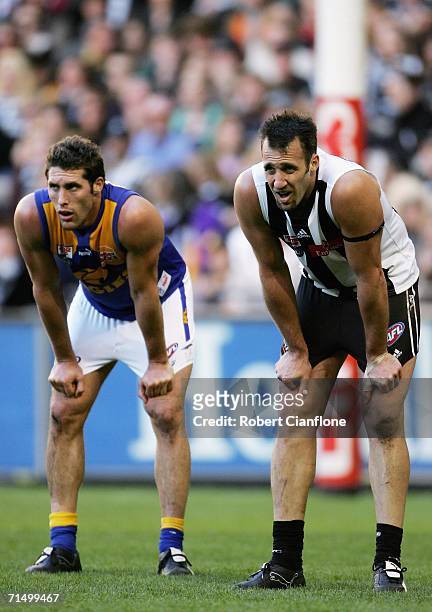Anthony Rocca of the Magpies and Darren Glass of the Eagles look on during the round 16 AFL match between the Collingwood Magpies and the West Coast...