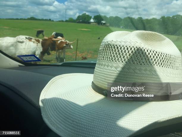 ranch life - granbury stock pictures, royalty-free photos & images