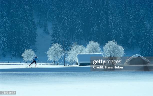 person cross-country skiing in alps - cross country skis stock-fotos und bilder