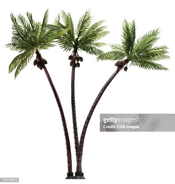 plastic palm trees - coconut isolated stock-fotos und bilder