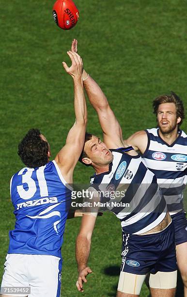 David Hale of the Kangaroos and Steven King of the Cats contest a throw in during the round 17 AFL match between the Kangaroos and the Geelong Cats...