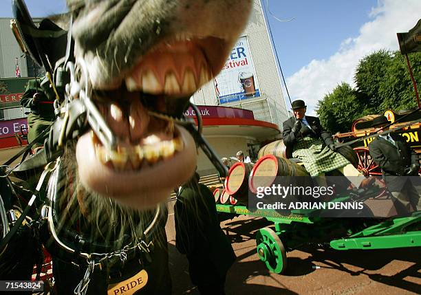 London, United Kingdom: A horse reacts while being photographed during a welcome parade of British brewers outside Earls Court in central London, 31...