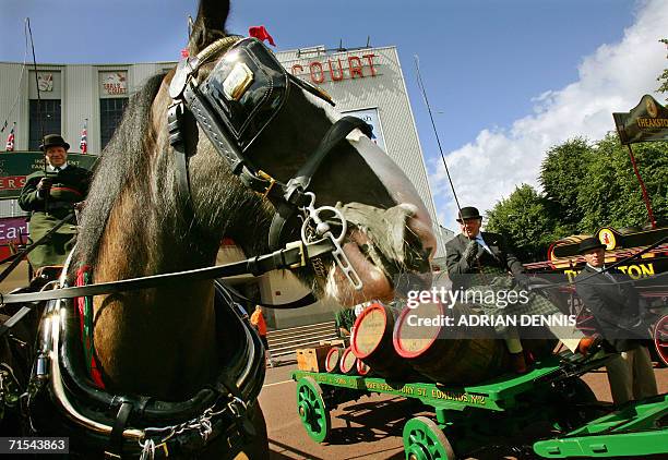 London, United Kingdom: Horse-drawn drays are pictured during a welcome parade of British brewers outside Earls Court in central London, 31 July...