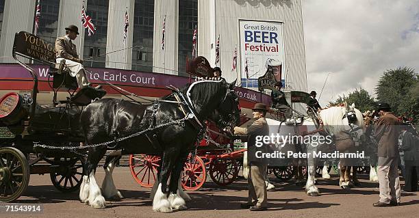 Traditional brewer's shire horses and wagons gather before the start of the Great British Beer Festival on July 31, 2006 in London. The Festival will...