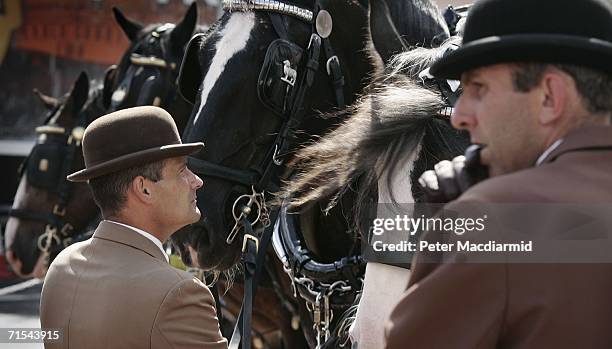 Grooms in bowler hats wait with shire horses pulling traditional brewer's carts before the start of the Great British Beer Festival on July 31, 2006...