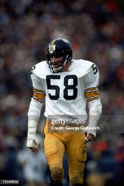 Linebacker Jack Lambert of the Pittsburgh Steelers during a game against the Baltimore Colts at Memorial Stadium on November 13, 1983 in Baltimore,...