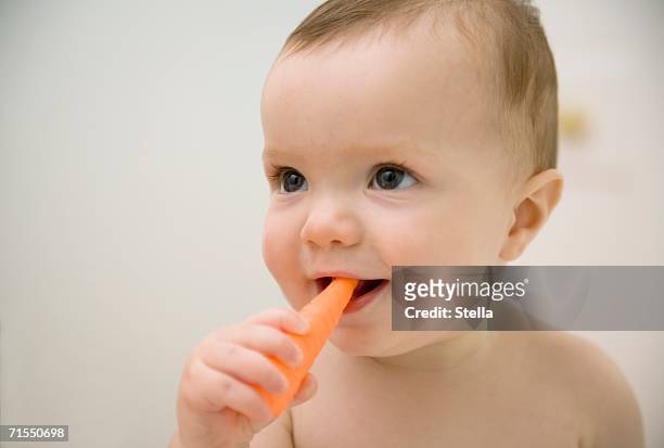 baby biting plastic carrot - baby eating toy foto e immagini stock