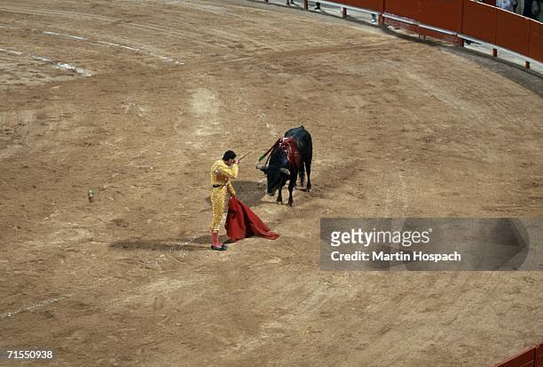 matador resting in front of bull - bullfighter stock-fotos und bilder