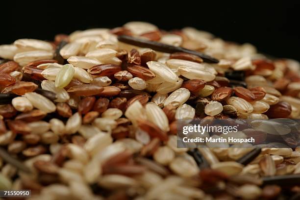 Dead Wild Rice Stand Wild Rice Photos and Premium High Res Pictures - Getty Images