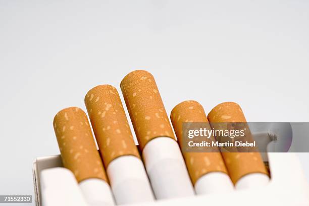 cigarettes poking out of open packet - paquete de cigarrillos fotografías e imágenes de stock