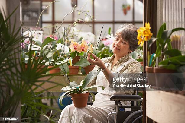 senior asian woman in wheelchair in greenhouse - natuurkunde stock-fotos und bilder