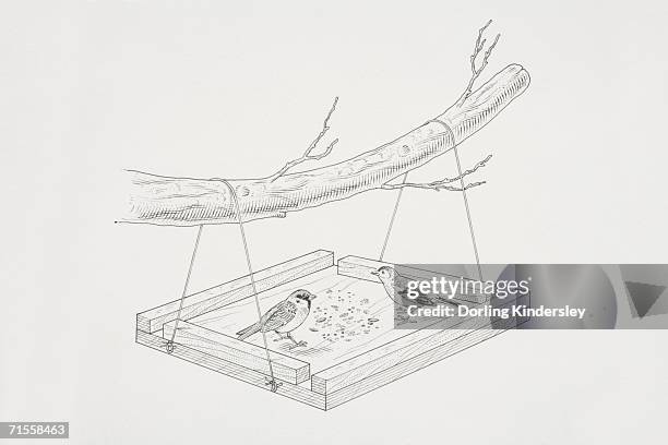 two birds feeding on a home-made bird table hanging from a tree branch. - bird feeder stock illustrations