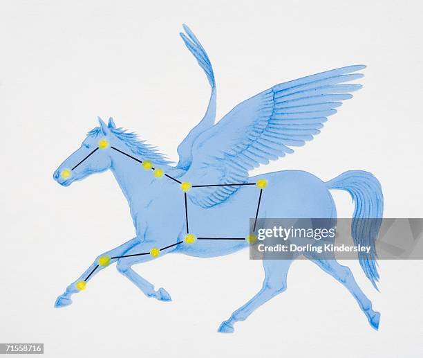 a diagram illustrating the constellation of pegasus complete with image of a winged horse. - pegasus stock illustrations