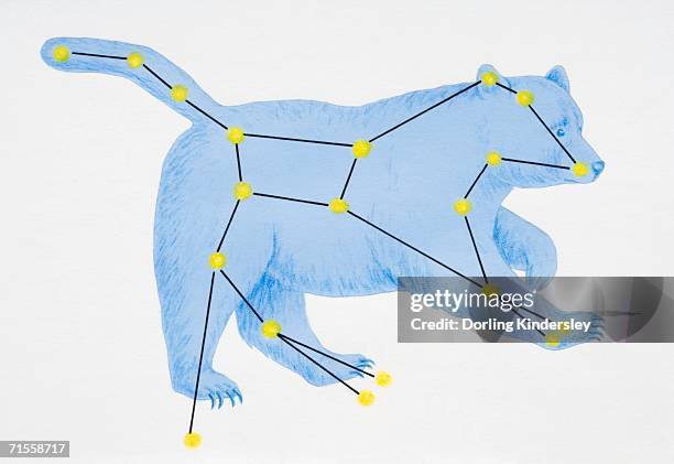 a diagram illustrating the constellation of ursa major complete with image of a bear. - constellation stock-grafiken, -clipart, -cartoons und -symbole