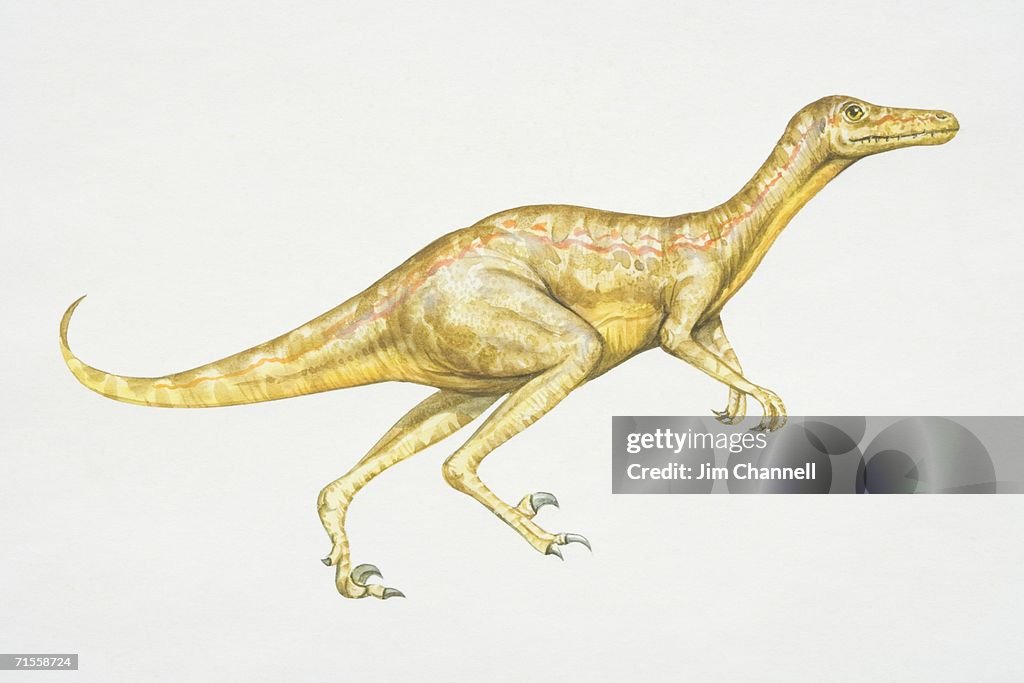 Gallimimus, running dinosaur.