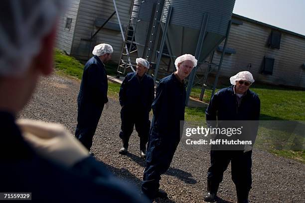 Farm workers suit up to protect the over 600,000 chickens which pass through the growout house every year of the Shenendoah Valley farm, owned by the...
