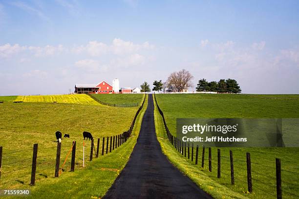 Over 600,000 chickens pass through the growout house every year of the Shenendoah Valley farm, owned by the Lohr family, who has owned the farm for...