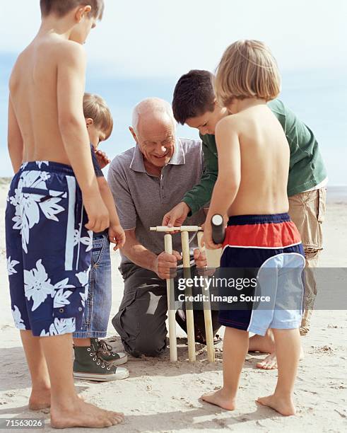 family playing cricket - beach cricket 個照片及圖片檔