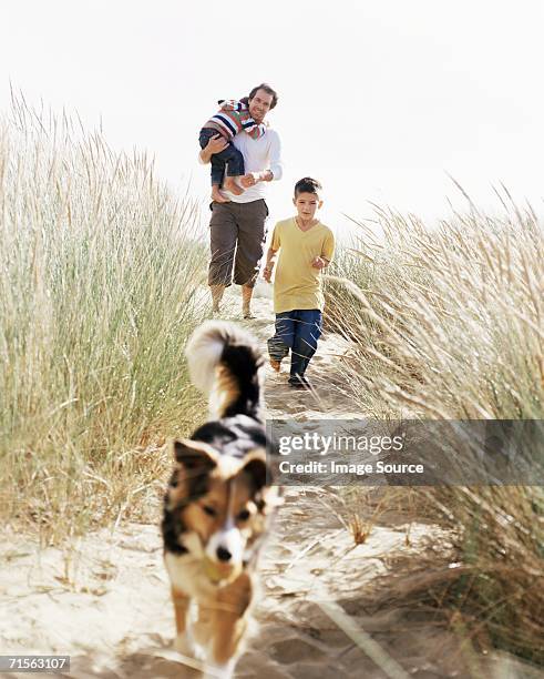 family walking down a dune - dog looking down at camera stock pictures, royalty-free photos & images
