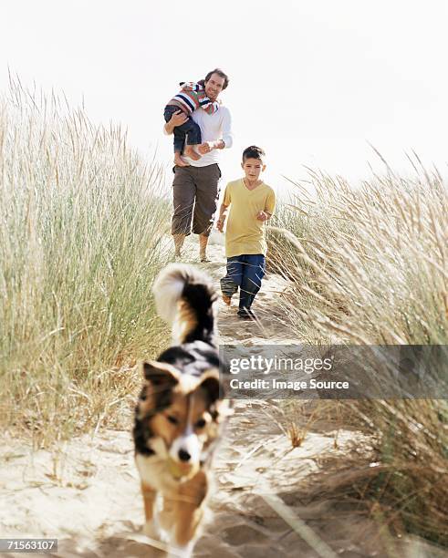 family walking down a dune - marram grass stock pictures, royalty-free photos & images