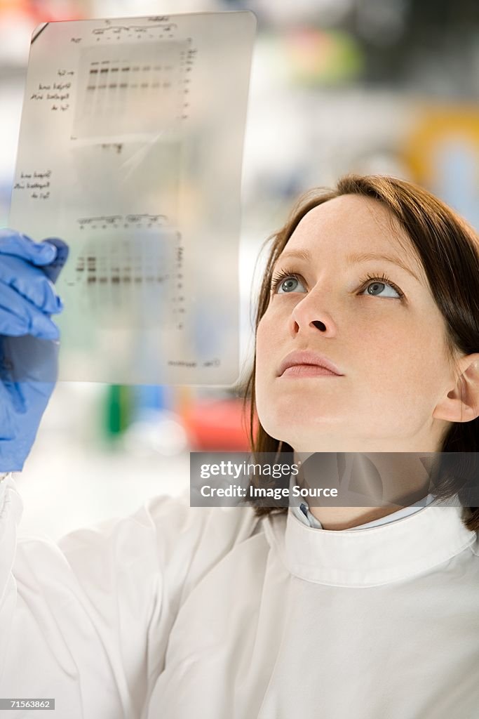 Scientist looking at DNA