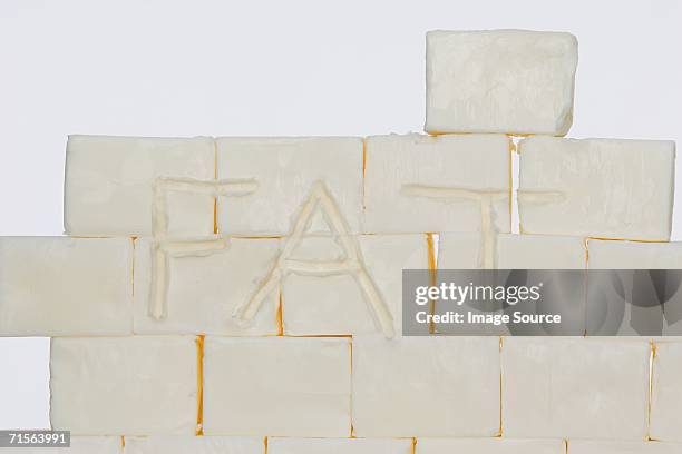 blocks of lard - lard stock pictures, royalty-free photos & images