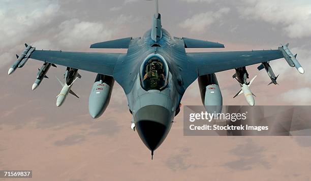 "operation iraqi freedom - an f-16 fighting falcon flies a mission in the skies near iraq on march 22.  the f-16s are from the 35th fighter wing wild weasels, misawa air base, japan. " - falcon stock pictures, royalty-free photos & images