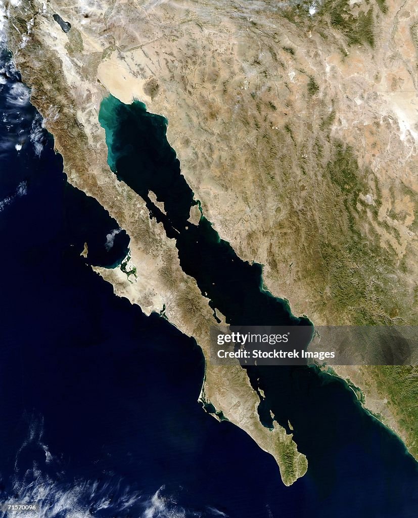 "Gulf of California, satellite image"