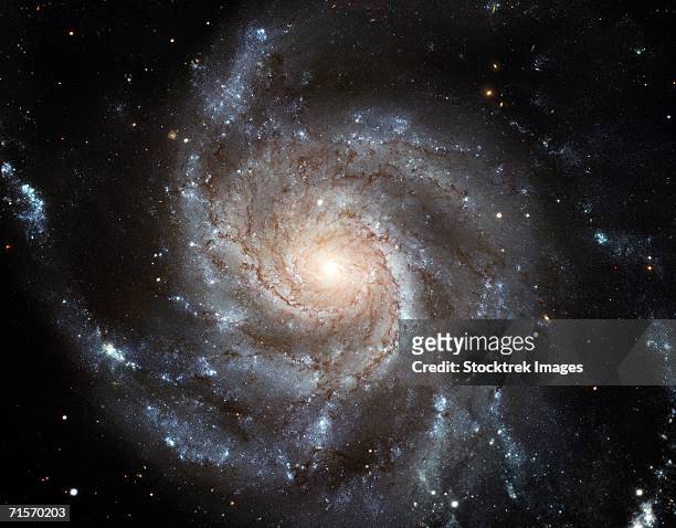 spiral galaxy messier 101 (m101) - pinwheel galaxy stock pictures, royalty-free photos & images