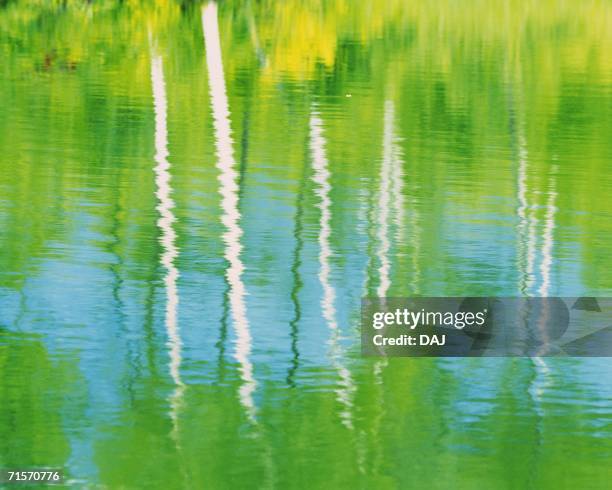 135 Reverberation Stock Photos, High-Res Pictures, and Images - Getty ...