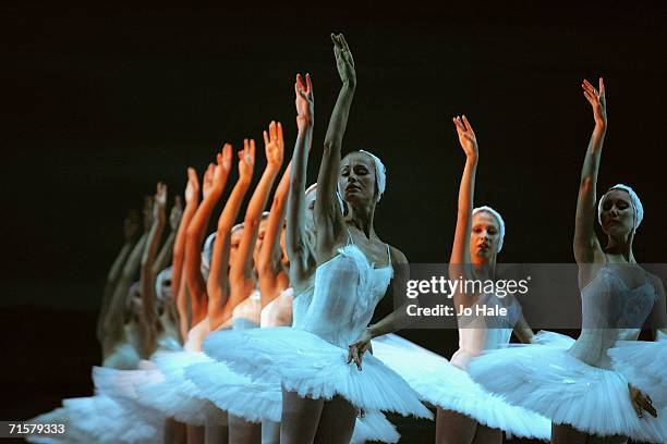 The dancers of the Moscow Bolshoi Theater Swan Lake Ballet perform at the Royal Opera House in Covent Garden on August 3, 2006 in London, England.