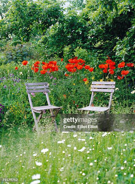 garden furniture in a garden. - oriental poppy stockfoto's en -beelden